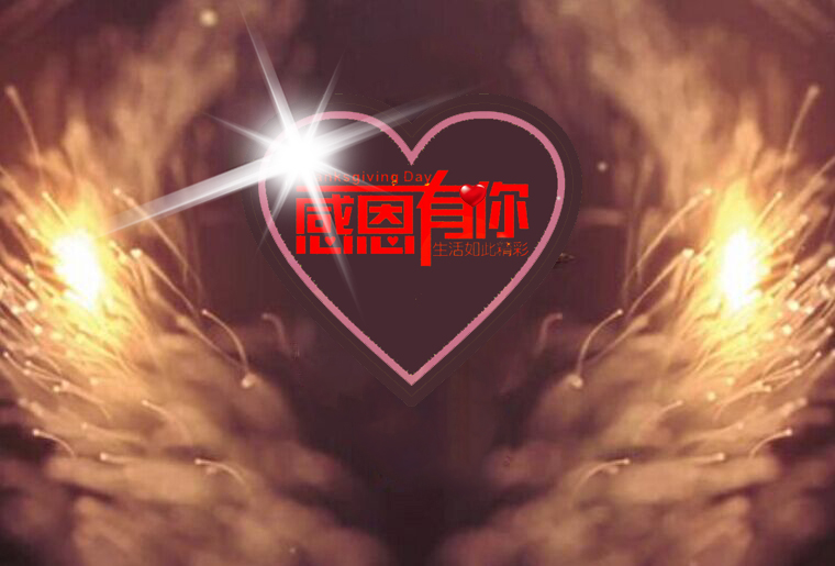 Z6人生就是博感恩之夜（引子：引水入局）