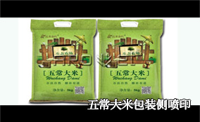 C3/C7 侧喷可变数据喷印系统手艺参数Technical Parameters