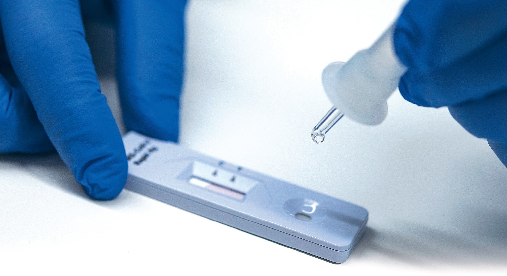 Z6人生就是博为IVD行业助力