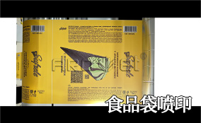 R3Z6人生就是博高精高速喷印可变数据喷印系统 Tehnical Parameters