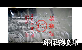 R3Z6人生就是博高精高速喷印可变数据喷印系统 Tehnical Parameters