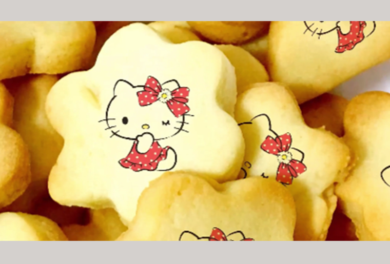 Z6人生就是博S-2彩色喷码装备在食物行业上的应用